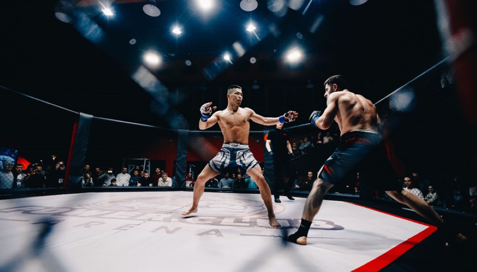 Dricus du Plessis: A Meteoric Rise in the UFC